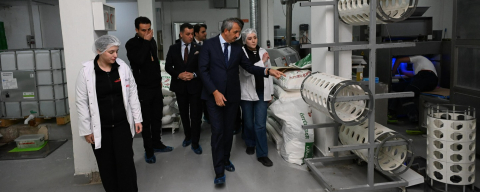 Vali Sezer’den Havsa’daki Un Üretim Tesisine Ziyaret
