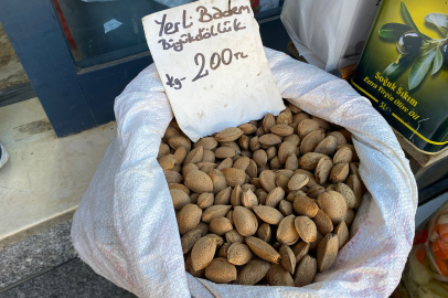 Yerli Büyükdöllük Bademine Yoğun İlgi