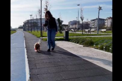 Evcil Hayvan Çip Uygulamasında Son Gün 31 Aralık