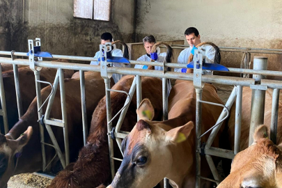 Kırklareli’nde Hayvancılık İşletmelerine Hastalıktan Arilik Çalışmaları