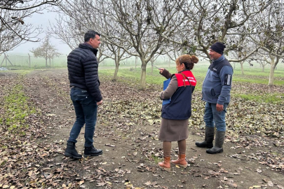 Düğüncübaşı Köyü’nde Ceviz İşletmesine İyi Tarım Uygulamaları Denetimi