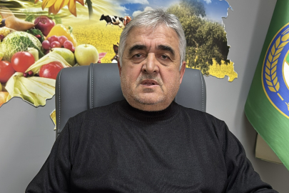 Trakya'da Bu Sene Buğday Erken Boy Attı