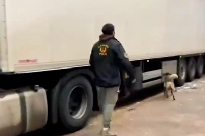 Edirne'de 31 Kilogram Kokain Ele Geçirildi