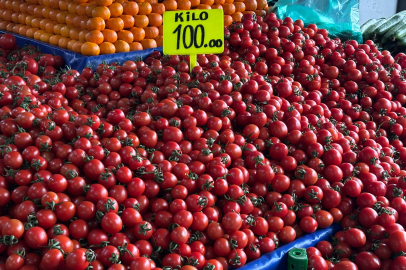 Kiraz Domates Cep Yakıyor