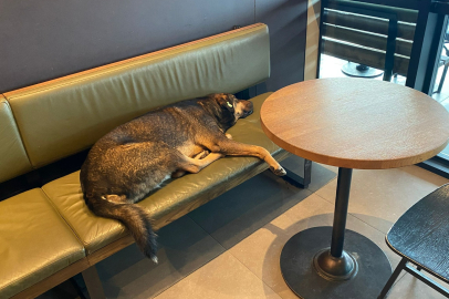 Edirne’de Soğuk Havada İç Isıtan Görüntü