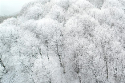 Mahyadağı Bölgesinde Kar Yağışı Uyarısı