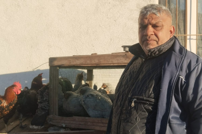 Edirne’de Yılbaşı Hindisi Yerine Yılbaşı Tavuğu