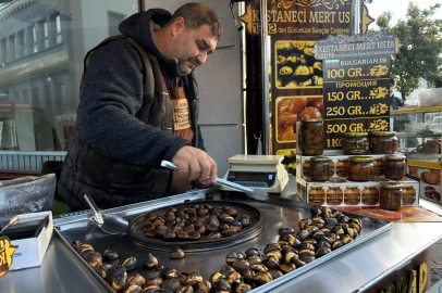Kestaneciler Yılbaşından Memnun