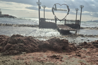 Tekirdağ’da Lodos Kıyıyı Vurdu, Kızıl Yosunlar Sahili Kapladı