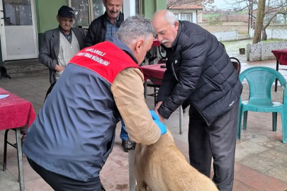 Kırklareli’nde Kedi, Köpek ve Gelincikler Kayıt Altına Alınıyor