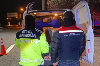 Otoyollarda Gece Gıda Denetimi