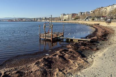 Tekirdağ'da Lodos Nedeniyle Sahilde Kırmızı Yosun Birikti