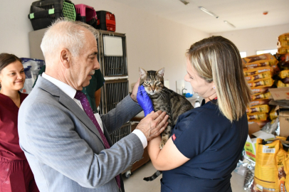 Keşan Belediyesi Veteriner Müdürlüğü 2025 Yılında Can Dostlarımız İçin Sahadaydı