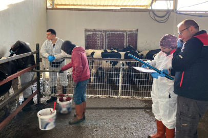 Kırklareli’nde Hayvancılık İşletmelerine Rutin Denetim