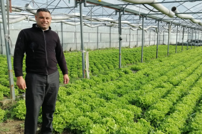 Belediyenin Desteğiyle Kurulan Seralarda Üretim Sürüyor
