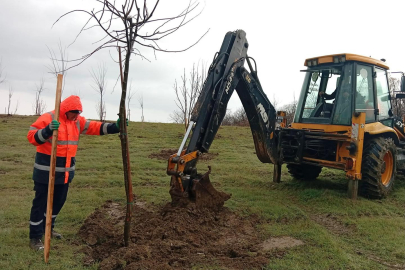 Muratlı’da Orman Alanında Fidan Dikimi Yapıldı