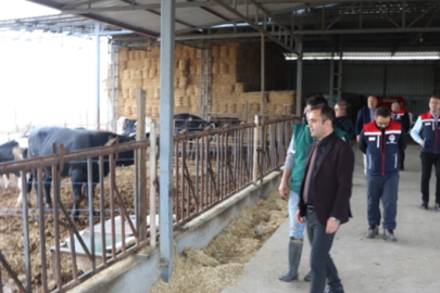 Edirne’de 2025 Yılı Boyunca Hayvan Sağlığı Çalışmaları Sürdürüldü