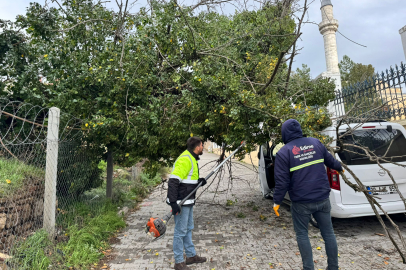 Edirne’de Devrilen Ağaç Otomobilin Üzerine Düştü
