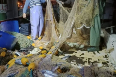 İğneada Açıklarında Palamut Bolluğu Yaşanıyor