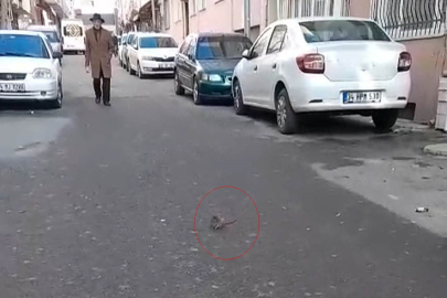 Sokakta Fare Paniği: Çevreyi Kötü Kokular Sardı