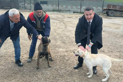 Lalapaşa Belediyesi Garajında Yeni “Görevli”