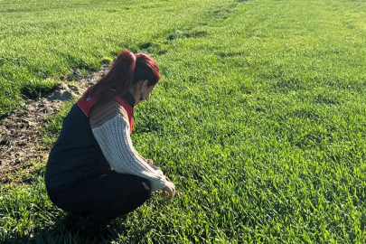 Pehlivanköy’de Arpa Ekiliş Alanlarında Tarımsal Kontroller Yapıldı