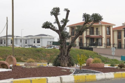 Tekirdağ'da Kurakçıl Peyzaj Uygulamaları Yaygınlaştırılıyor