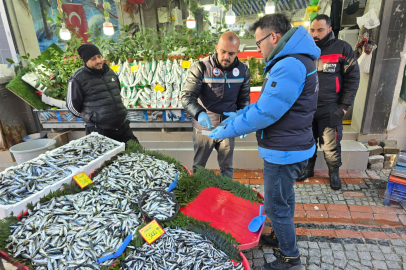 Edirne’de Su Ürünlerine Yönelik Denetimler Sürüyor