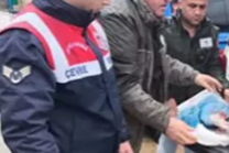 Kırklareli'nde Karaca Vuran Avcıya 50 Bin 943 Lira Ceza Uygulandı