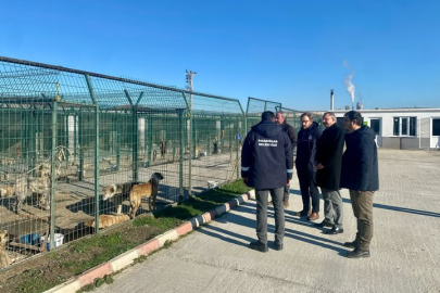 Pınarhisar’da Geçici Hayvan Bakım ve Gözlem Merkezi İncelendi