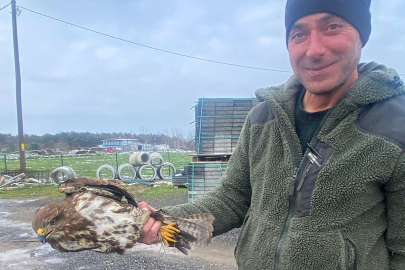 Yaralı Şahin Koruma Altına Alındı