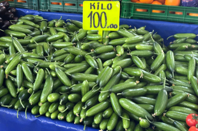 Edirne’de Salatalık Fiyatı Cep Yaktı