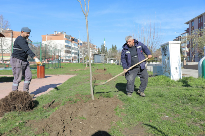 Edirne’de Yeşil Alan Çalışmaları Sürüyor