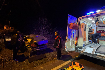 Kontrolden Çıkan Otomobil Tarlaya Girdi, Sürücü Yaralandı