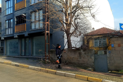 Saray’da Park ve Yeşil Alanlarda Bakım Çalışmaları Sürüyor