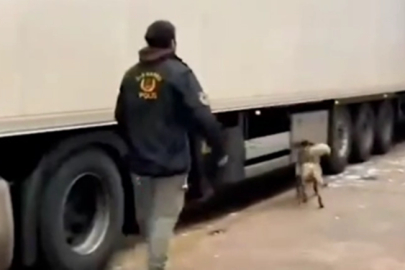 Edirne'de 220 Kilogram Kokain Ele Geçirildi