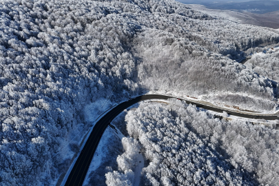 Istranca Ormanlarında Kar Manzaraları