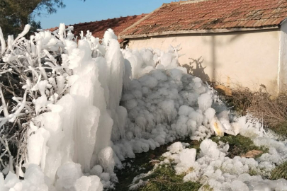 Kutuplar Değil, Enez