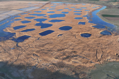 Edirne'deki Göl Baba Sulak Alanı Buz Tuttu
