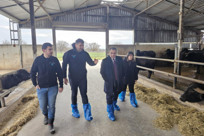 Kaymakam Balaban’dan Hayvancılık İşletmesine Ziyaret