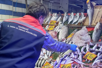 Tekirdağ’da Balık Satış Yerlerine Gıda Güvenliği Denetimi