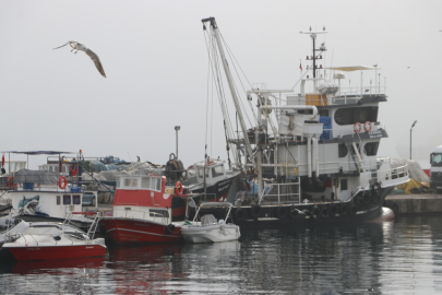 Tekirdağlı Balıkçılar Sis Nedeniyle 2 Gündür Denize Açılamıyor
