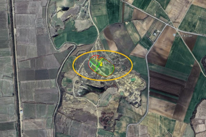 Edirne’de Biyokütle Enerji Santrali Projesi