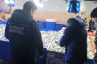 Kırklareli’nde Kapalı Pazar Yerinde Su Ürünleri Denetimi