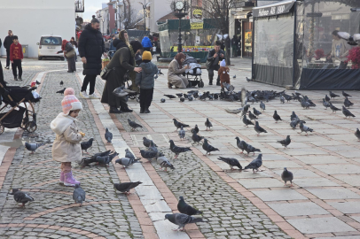 Kış Ortasında Çocukların Kuşlarla Oyun Keyfi
