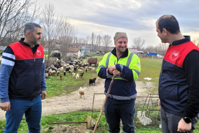 Pınarhisar’da Küçükbaş Hayvan Yetiştiricilerine Sahada Ziyaret