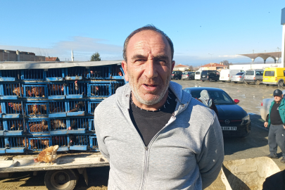 Köy Köy Gezerek Canlı Tavuk Satıyor