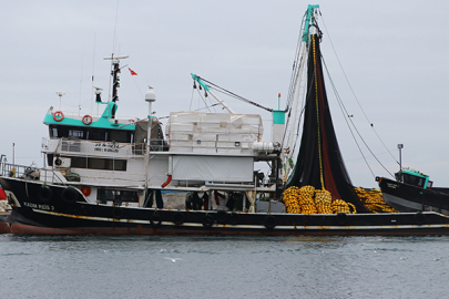 Küçük Ölçekli Balıkçılık Desteklemesi Başvuruları Başlıyor