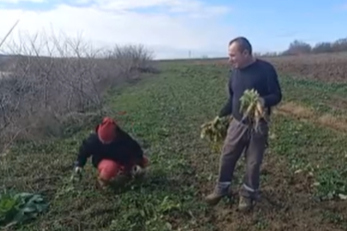 Toprağa Emek, Çocuklara Gelecek... Karı-Koca 4 Mevsim Tarlada Çalışıyor