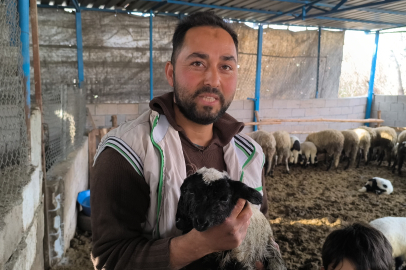 Çift Başı ve 4 Gözü ile Doğan Kuzu Yaşama Tutundu